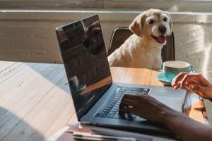 Becoming a Digital Nomad Becoming a Digital Nomad